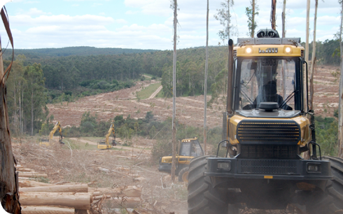 Biomass (Uruguay)